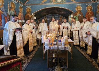 Întrunirea Cercului Pastoral nr. 8 Șendriceni