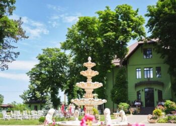 Pensiunea „La Conac” Albești invită copiii la distracție! Activități, gustări și… premii