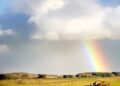 Vacanțele românilor au fost date peste cap de temperaturile scăzute și precipitații. Ploi și vijelii de Paște