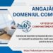 ISU Botoșani angajează ofițer specialist II la Serviciul Comunicații
