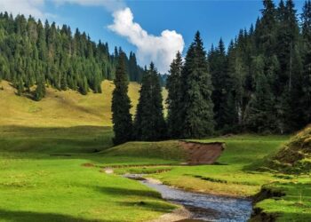 5 iunie: Ziua mondială a mediului înconjurător