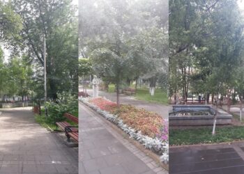 „Elefănțelul curios” ajunge astăzi în Parcul Sucevei din municipiul Botoșani