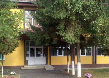 Liceul Tehnologic Bucecea prezintă oferta educațională pentru anul școlar 2024-2025