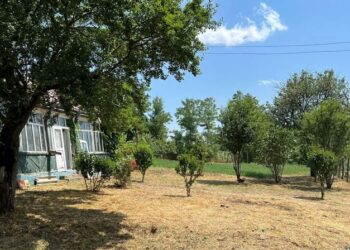 În comuna Sulița, județul Botoșani, se va înființa Casa Memorială a Părintelui Ilie Cleopa