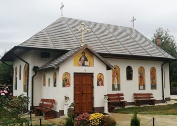 „Pastorația și îngrijirea celor bolnavi”. Cerc pastoral-misionar în parohia Comănești, județul Botoșani