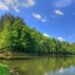 Contemplarea naturii vs. cyberadicții