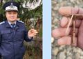 Un jandarm botoșănean a descoperit o fibulă dacică din aur cu o vechime considerabilă