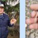 Un jandarm botoșănean a descoperit o fibulă dacică din aur cu o vechime considerabilă