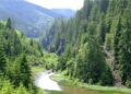 Activităţi şcolare finanţate prin programul „Săptămâna verde”
