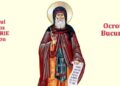 SINAXAR ORTODOX 2924: Sfântul Cuvios Dimitrie cel Nou