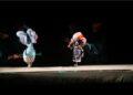 Elefănțelul curios invită pe micii botoșăneni la teatru