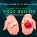 Sună la TELVERDE 0800 800 116, linie gratuită pentru consilierea femeilor în criză de sarcină! Salvează o viață!
