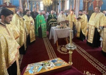 Biserica, bolnavii și Sfinții Tămăduitori. Cercuri misionar-pastorale în județul Botoșani