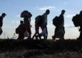Ziua internaţională a migranţilor 2024 onorează contribuția lor în societate