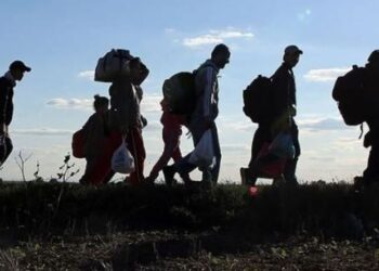 Ziua internaţională a migranţilor 2024 onorează contribuția lor în societate