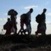 Ziua internaţională a migranţilor 2024 onorează contribuția lor în societate