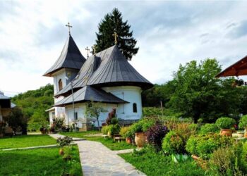 Consolidarea, restaurarea și punerea în valoare a Bisericii Adormirea Maicii Domnului, Mănăstirea Cozancea