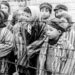 27 ianuarie 2025 – Ziua internațională de comemorare a victimelor Holocaustului