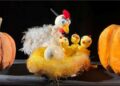 Păţaniile unui pui de gâscă lăudăros, Nelu GâscăNeluʼ, la Teatrul „Vasilache” Botoșani