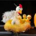 Păţaniile unui pui de gâscă lăudăros, Nelu GâscăNeluʼ, la Teatrul „Vasilache” Botoșani