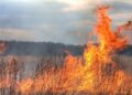 Incendierea vegetației uscate este interzisă. Recomandări de la ISU Botoșani