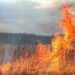 Incendierea vegetației uscate este interzisă. Recomandări de la ISU Botoșani