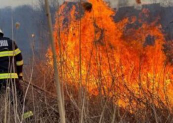 Apel la ajutorul preoților pentru a limita numărul incendiilor de vegetație