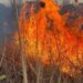 Apel la ajutorul preoților pentru a limita numărul incendiilor de vegetație