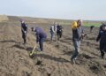 Pompierii dorohoieni plantează viitorul la Cordăreni