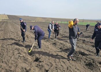 Pompierii dorohoieni plantează viitorul la Cordăreni