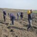 Pompierii dorohoieni plantează viitorul la Cordăreni
