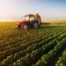 Credite agricole pe termen lung garantate de stat
