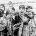 11 aprilie – Ziua internațională a celor eliberați din lagărele de concentrare fasciste