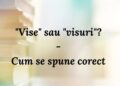  „Vise” sau „visuri” – cum se spune corect