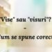  „Vise” sau „visuri” – cum se spune corect