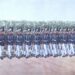 30 aprilie – Ziua Infanteriei Române