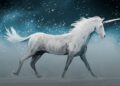 9 aprilie – Ziua mondială a unicornului