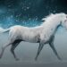 9 aprilie – Ziua mondială a unicornului