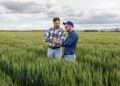 Ajutor pentru capital de lucru în agricultură prin noul program „Creditul Fermierului”