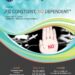 „Fii conștient, nu dependent”. Marş antiviolenţă, antidrog, antitutun şi de prevenire a accidentelor rutiere, organizat la Suceava