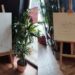 Noaptea Muzeelor: Expoziția „Pe urmele lui Eminescu” la Memorialul Ipotești