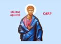 SINAXAR ORTODOX 2025: Sfântul Apostol Carp, unul din cei șaptezeci de apostoli