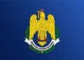 Informaţii false pe subiecte de securitate şi apărare