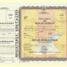 Toate diplomele, inclusiv de bacalaureat, licență, certificatele profesionale, vor avea menționat nivelul de calificare