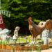 „Parcul Basmelor Mihai Eminescu și uriașii vorbitori”. Eveniment unic la Botoșani