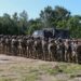Exercițiu militar multinațional