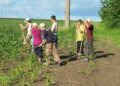 12 Iunie – Ziua mondială împotriva exploatării prin muncă a copiilor