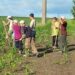 12 Iunie – Ziua mondială împotriva exploatării prin muncă a copiilor
