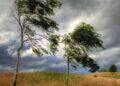 Alertă meteo în Județul Botoșani: Cod portocaliu de vijelii și Cod galben de caniculă și inundații