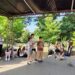 „Atelierele de lectură și scriere”, în plină…poezie la Memorialul Ipotești